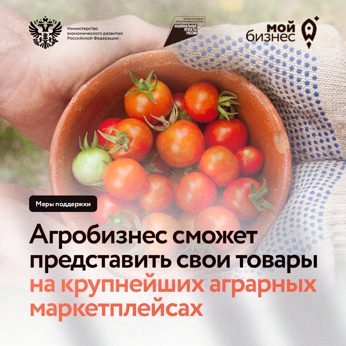 Минэкономразвития России и РСХБ запускают совместную программу поддержки агробизнеса