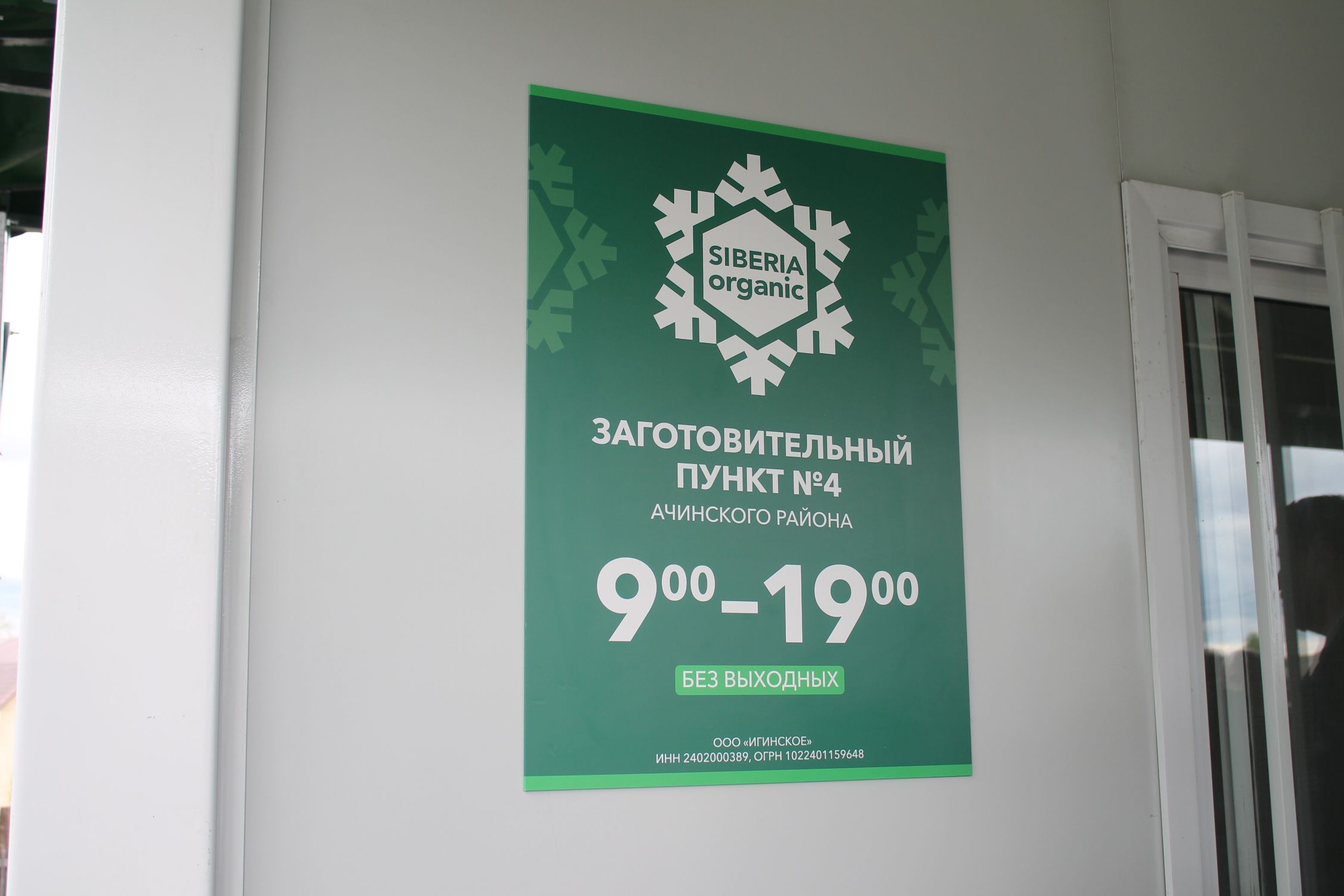 В Красноярском крае с 18 июля заработает сеть заготпунктов по сбору дикоросов