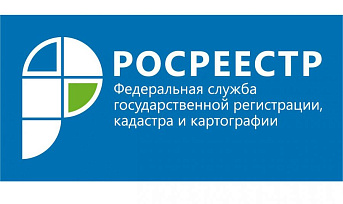 Предприниматели могут удаленно решать вопросы, связанные с недвижимостью 