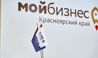 Татьяна Илюшникова: Минэкономразвития России направит регионам модельный закон для развития креативных индустрий