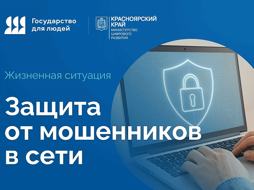 Жителям Красноярского края поможет новый сервис «Защита от мошенников в сети»