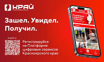 Популярные цифровые сервисы Красноярского края объединили на одной платформе